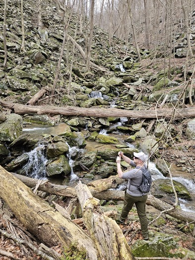 Vital habitats for plants and animals classified as being of special concern would be obliterated if the York Energy Storage project is approved. Cuffs Run, home to naturally reproducing brook trout, would be devastated. (Chesapeake Bay Foundation/B.J. Small)