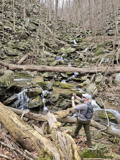 Vital habitats for plants and animals classified as being of special concern would be obliterated if the York Energy Storage project is approved. Cuffs Run, home to naturally reproducing brook trout, would be devastated. (Chesapeake Bay Foundation/B.J. Small)