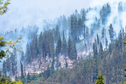 Tiny particulate matter in wildfire smoke can lodge deep in the lungs and cause serious respiratory problems. (Adobe Stock)