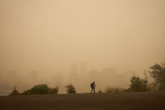 Air quality can suffer greatly during the summer when the Northwest experiences wildfires. (Tada Images/Adobe Stock)