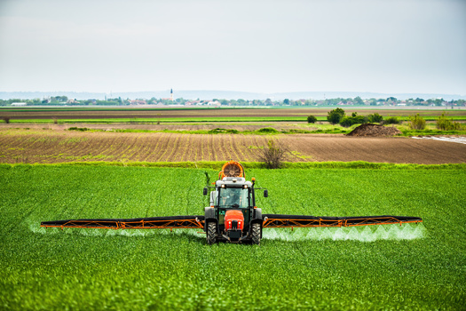 Atrazine was the most widely used pesticide in Iowa, and applied to 69% of the state's planted acres. (Adobe Stock)
