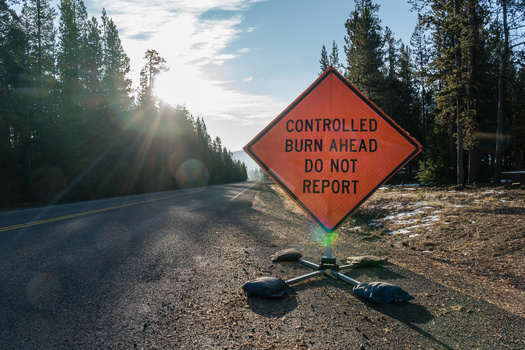 Prescribed burning is the purposeful use of fire to reduce the risk from fire fuel sources in the forest. (Heidi/Adobe Stock)