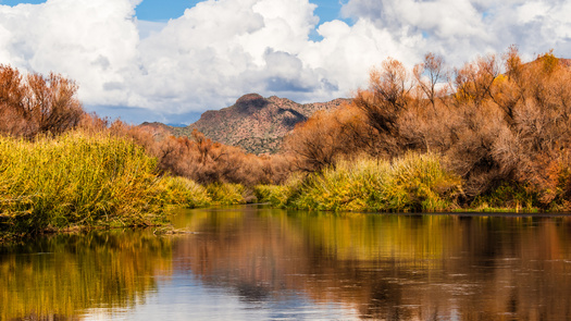 The Nature Conservancy Arizona will use the funding to purchase conservation easements from willing landowners on up to 20,000 acres. (Juliana Swenson/Adobe Stock)