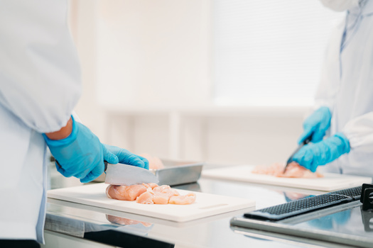 Meat-processing facilities have become a flashpoint in the debate over rolling back child labor laws in various states. (Adobe Stock)