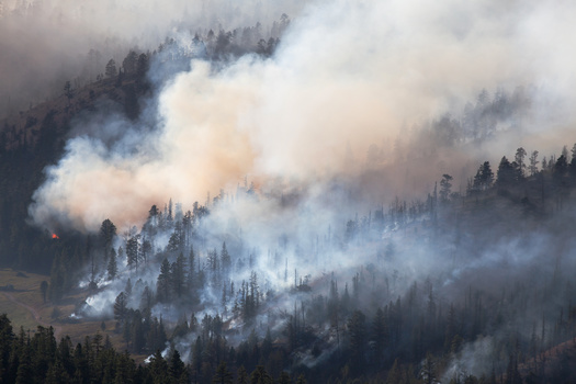 State meteorologists in Minnesota say several climate change effects have greatly increased the amount of fuel available for wildfires, which can grow rapidly and be difficult to extinguish. (Adobe Stock)