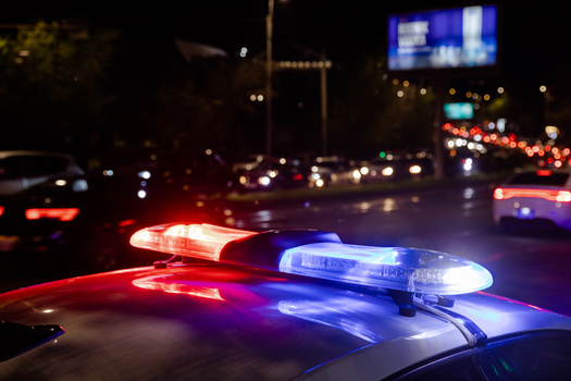 The Atlanta Public Safety Training Center will be on an 85-acre plot of forested land owned by the City of Atlanta. Once completed, the campus will be the nation's largest police training complex, equipped with military-grade facilities and a mock city for urban police training. (Adobe Stock)