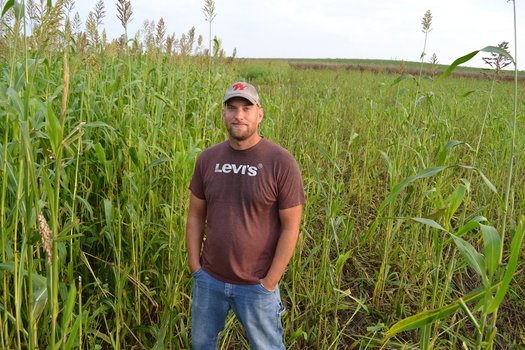 Alan Bedtka is pictured in a stand of sorghum-sudangrass, which he was paid to plant to boost soil health and reduce his fertilizer use. (Photo courtesy of Alan Bedtka)