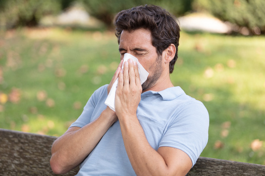 It is estimated 30% to 40% of the world's population now has some form of allergy, everything from hay fever to eczema and asthma. (auremar/AdobeStock)