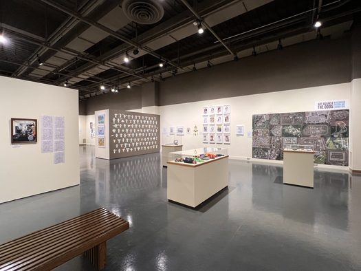 An installation view of the exhibition Art Against the Odds, is shown at the Neville Public Museum in Green Bay, Wisconsin. (Photo courtesy of Kate Mothes)