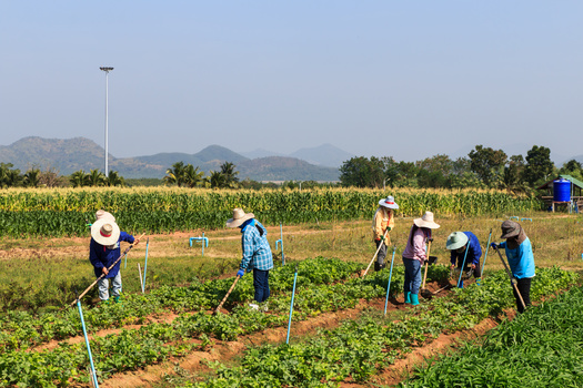California, Colorado, Minnesota, Oregon and Washington are the only states with heat standards in place. Five other states either have active legislation or are in the process of rulemaking. (Adobe Stock)