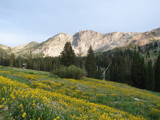 Currently, 90% of public land managed by BLM is open to commodity-driven extraction, like mining and oil and gas development, according to the National Parks Conservation Association. (Adobe Stock) 