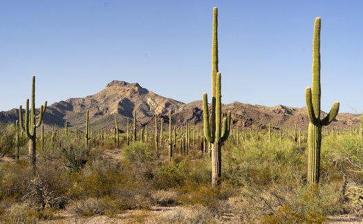 In 2022, 10.3 million park visitors spent an estimated $1.2 billion in local gateway regions while visiting National Park lands in Arizona, according to the National Park Service. (Adobe Stock) 