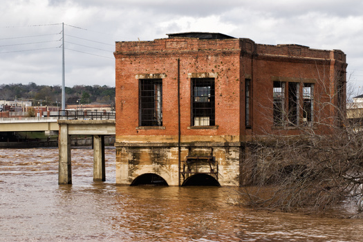 According to the EPA, Georgia has warmed less than most of the nation in the last century but in the next few decades, the changing climate is likely to harm livestock and increase the number of unpleasantly hot days and heat-related illnesses. (Laura Ballard/Adobe Stock)