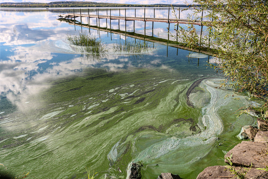 The Minnesota Center for Environmental Advocacy says a law change, which includes updating the state's public waters list, could provide protections for at least 640 miles of additional waterways across the state. (Adobe Stock)