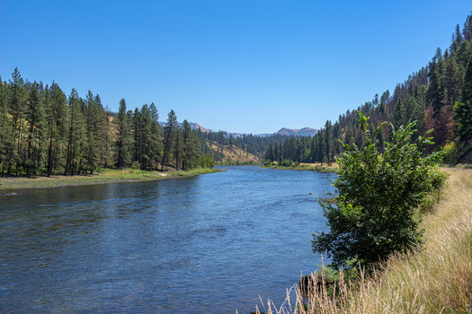 The U.S. Forest Service received 275 public objections to its management plan for the Nez Perce-Clearwater National Forests. (pmilota/Adobe Stock)