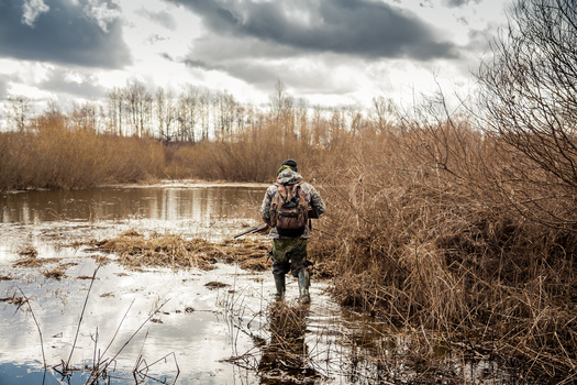 The federal government collects more than $1 billion every year through an excise tax on such items as licenses, guns, arrows and fishing tackle to fund wildlife conservation programs. (Adobe Stock)