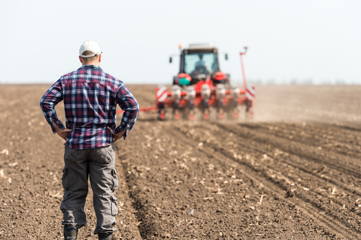 The deadline for Congress to pass a new Farm Bill is Sept. 30, 2024, following a year-long extension of the 2018 Farm Bill. (Dusan Kostic/Adobe Stock)