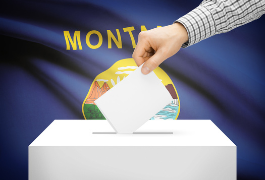 Nationwide, about 27% of voters between the ages of 18 and 29 cast a ballot in the 2022 midterm election, according to the Center for Information and Research on Civic Learning and Engagement at Tufts University. (Adobe Stock)
