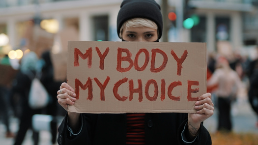 In 2022, the U.S. Supreme Court overturned Roe v. Wade, which for nearly 50 years had affirmed the constitutional right to an abortion. (Adobe Stock)
