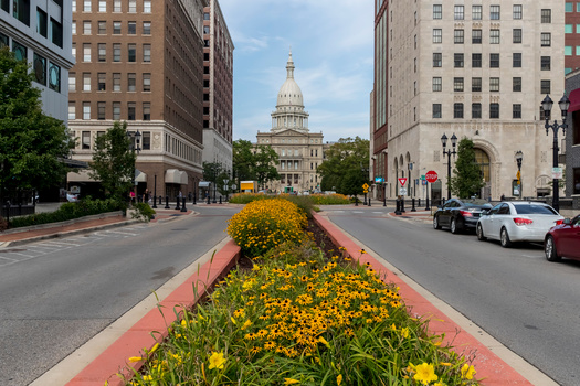 Lansing received more than $5 million from the U.S. Department of Interior to improve the city's tree canopy, using the funding for projects like planting 2,000 trees. (Grindstone Media Grp)
