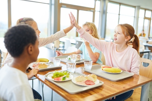 Feeding America estimates that 22 million children nationwide experience hunger each summer, because they miss out on nutrition programs through their schools. (Adobe Stock)