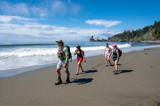 Olympic National Park received nearly 3 million visitors in 2023. (Francisco/Adobe Stock)