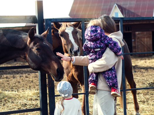 The latest Kids Count Data Book from the Annie E. Casey Foundation ranked Idaho high in the family and community category, at fourth best in the nation. (Vadim Sofin/Adobe Stock)