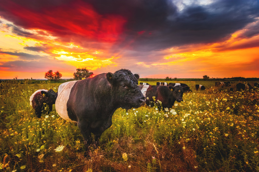 Around 27% of South Dakotans who applied for the Environmental Quality Incentives Program, funded by Inflation Reduction Act dollars in 2023, were accepted. (Marc Braner/Adobe Stock)