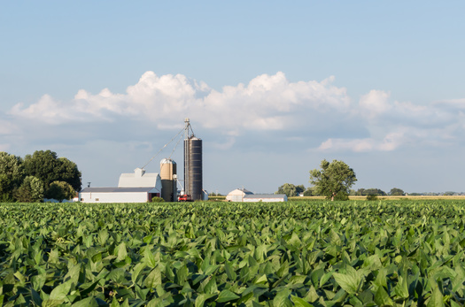 Iowa family farm advocates are calling on Congress to reduce the subsidies given to large-scale factory operations in the Farm Bill, and invest more in conservation programs that help small ag producers. (Adobe Stock)