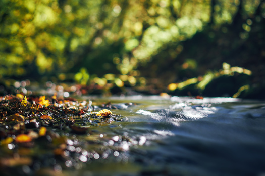 Environmental advocates say a case now before the U.S. Supreme Court could make it easier for judges to weaken laws such as the Clean Water Act in the future. (Visualitte/Adobe Stock)