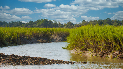 Other efforts in North Carolina aimed at protecting salt marshes include Gov. Roy Cooper's Executive Order 80, and the state's 2020 Climate Risk Assessment and Resilience Plan. (Adobe Stock) 