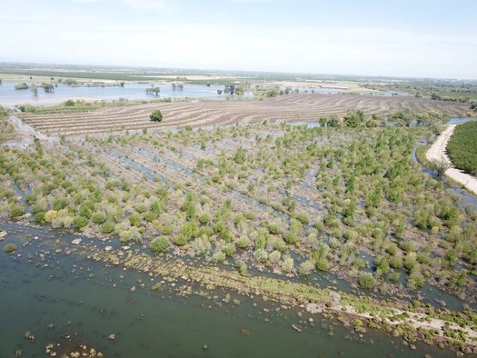 Heavy flooding was seen in Dos Rios in April 2023. (River Partners)