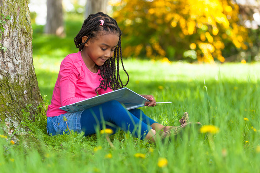 Reading during the summer can help children combat learning loss. (Samuel B./Adobe Stock)