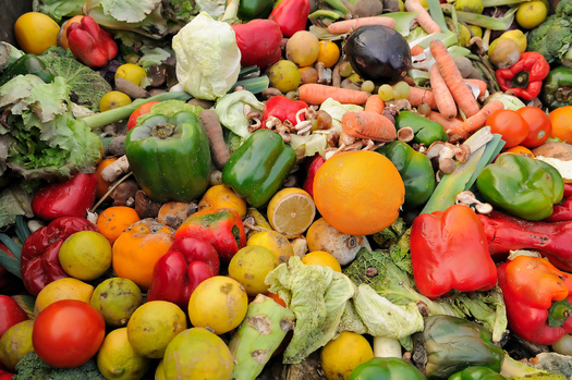 About 40% of food produced by farmers worldwide is never consumed. (TheStockCube/Adobestock)