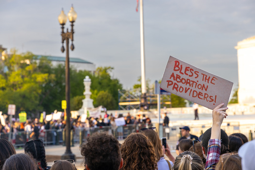 The U.S. Supreme Court dismissed an appeal in an abortion case from Idaho, making the procedure still available in emergency situations. (Jude/Adobe Stock)