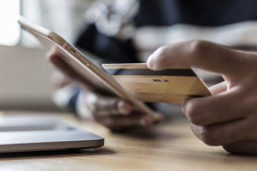 According to the financial site Forbes Advisor, Illinois ranks 20th in the nation for struggling most with credit card debt. (Adobe Stock)