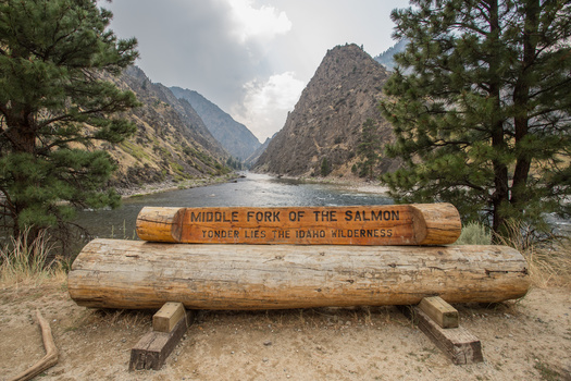 The Middle Fork of the Salmon River was one of the first rivers protected as Wild and Scenic by the federal government in 1968. (NorthwestWildImages/Adobe Stock)