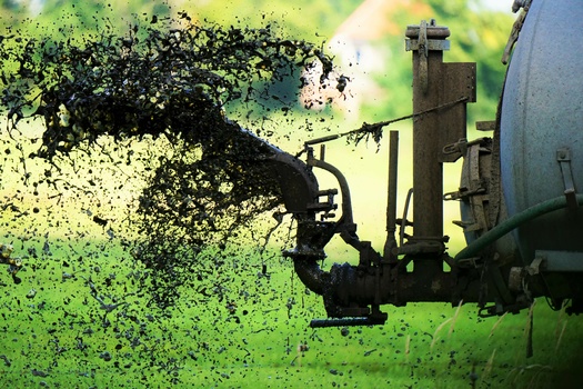 Proposed water permit changes in Minnesota to limit harmful runoff from industrial farms would only cover about 1,000 of the state's 17,000 livestock feedlots. However, environmental groups said the affected farms generate about one-third of the manure spread on agricultural fields. (Adobe Stock)