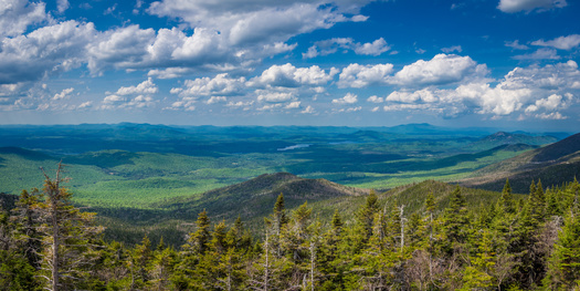 In total, The Conservation Fund has protected 529,213 acres of land and water across the state of New York. (Adobe Stock)