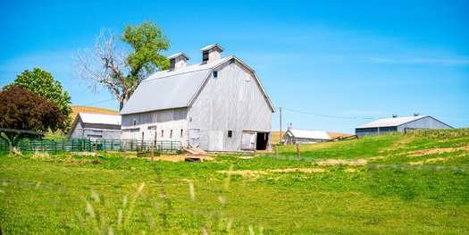 More than two-thirds of the Local Food System Infrastructure projecta funded were small farms or food businesses. (Jaskaran Kooner/Adobe Stock)