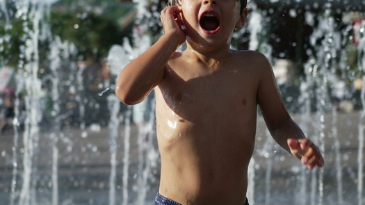 The World Health Organization says heat stress is the leading cause of weather-related deaths and can exacerbate underlying illnesses. (Adobe stock)