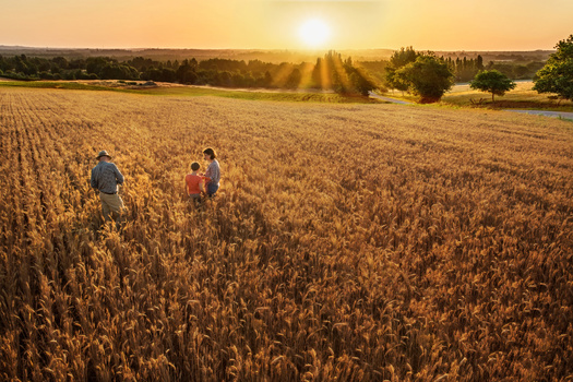 In Colorado, more than 195,000 people work in agriculture across 38,900 farms and ranches. The industry supplies $47 billion to the state's economy annually. (Adobe Stock)