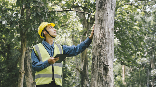 Those selected for the new Forest Corps must be prepared to handle hiking long distances while carrying a heavy backpack, traverse uneven terrain and be able to complete labor-intensive outdoor projects. (Adobe Stock) 