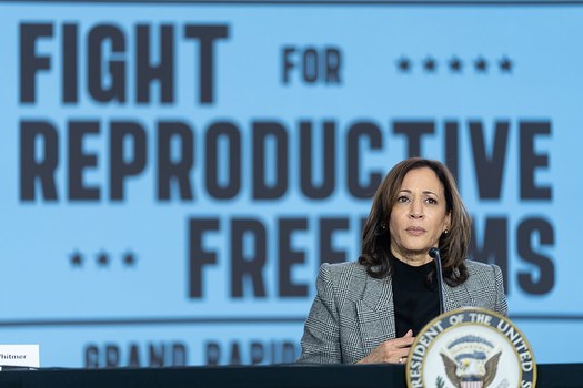 Vice President Kamala Harris spoke at a political event in Grand Rapids, Mich., in early 2024. (The White House/Wikimedia Commons)