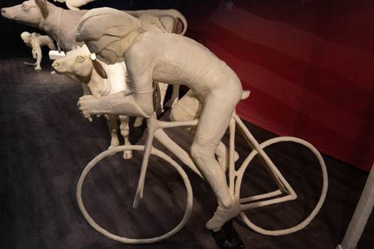 A life-size butter sculpture of a cyclist is included in this year's butter cow display at the Ohio State Fair. Sculptors built a hidden armature to convey the motion of the cyclist leaning to the side as he rounds a curve. (American Dairy Association Mideast)