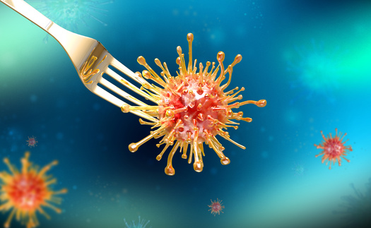 Symptoms from foodborne illnesses can appear as quickly as 30 minutes, but can also take days to manifest. (Mirsad/Adobe Stock)