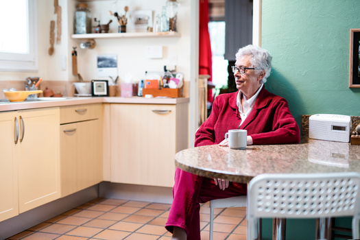 Since its inception more than 50 years ago, the Property Tax and Rent Rebate program has provided more than $8 billion in property-tax and rent relief to Pennsylvanians. (jackfrog/Adobe Stock)