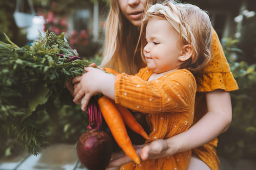 A free pop-up farmer's market marks National Health Center Week. Colorado's 20 Community Health Centers operate 243 clinic sites, and serve one in five Child Health Plan Plus enrollees and nearly one in four Medicaid patients in the state. (Adobe Stock)