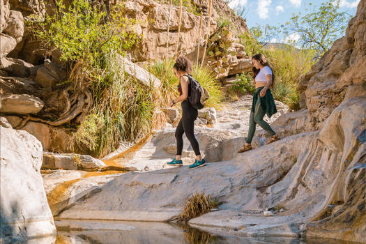 Las pol�ticas propuestas en el Proyecto 2025 afectar�an las pol�ticas ambientales y clim�ticas ya promulgadas relacionadas con la producci�n de combustibles f�siles, la acci�n clim�tica y la justicia ambiental. (newmexico.org)