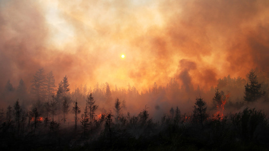Wildfire smoke can be especially hard for people with preexisting respiratory conditions. (Cavan/Adobe Stock)